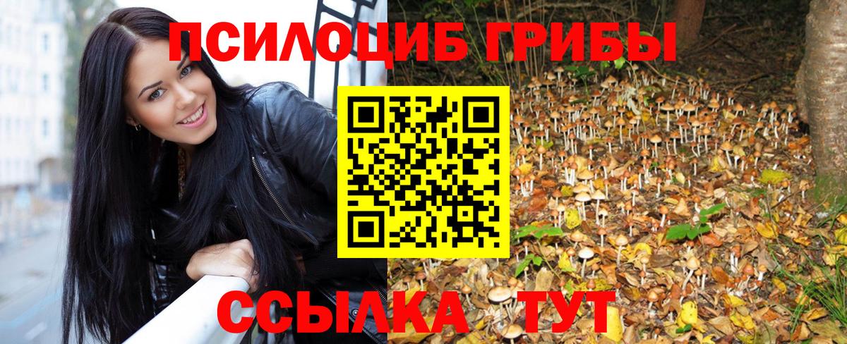 Спасск-Дальний  Псилоцибиновые грибы мицелий  Вход с VPN 