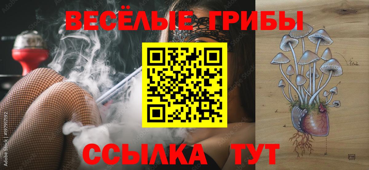 Галлюциногенные грибы мухоморы Спасск-Дальний